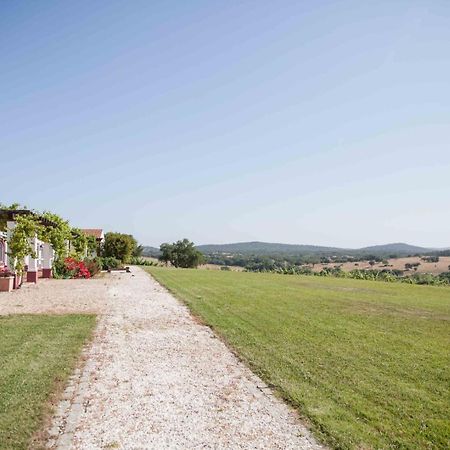 Stunning Mansion In Sao Cristovao Villa Montemor-o-Novo Bagian luar foto